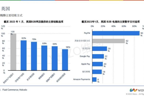 国外最大的域名销售网站，市场趋势与业务解析-百挑一