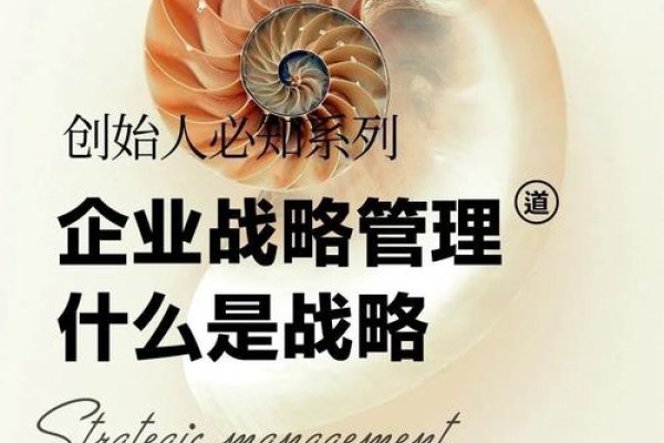 关键词优化顾问公司，引领企业走向成功的关键力量-百挑一