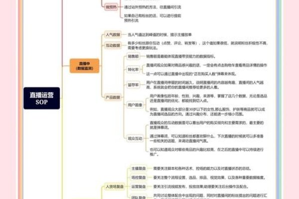 广州直播代运营公司推荐及分析-百挑一