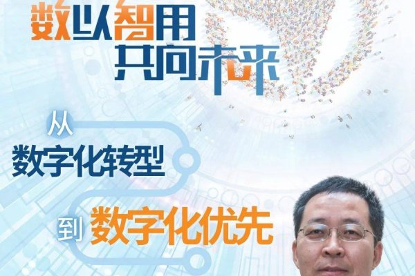 公益IDC虚拟主机接口,推动数字化转型与公益事业的融合-百挑一