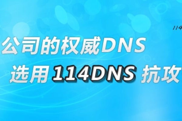 关于114 DNS IP地址的解析与应用-百挑一