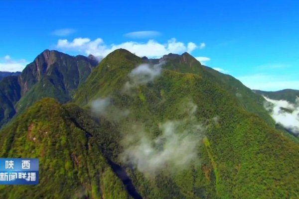 高质量发展的五大关键词，经济、政治建设与创新，文化繁荣与社会发展环境友好-百挑一