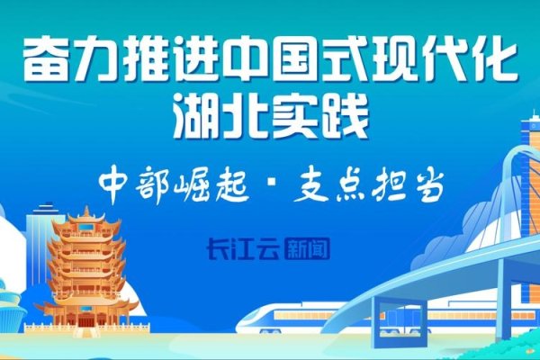 湖北建设网站建设代理，推动地方数字化发展的重要力量-百挑一