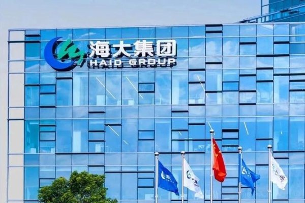 海大科技集团，多元化业务布局的领军企业-百挑一