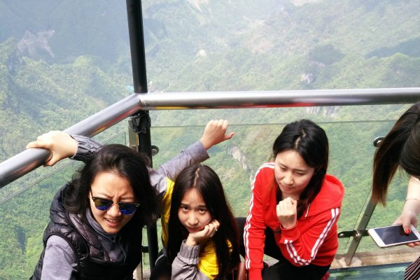 好的网站建设方案—张家界之旅-百挑一