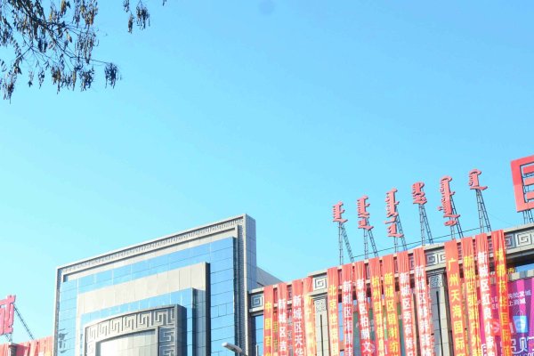 呼和浩特互联网企业与国风文化探索-百挑一