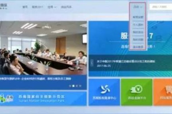 海口公司做网站，全面解析与案例分享-百挑一