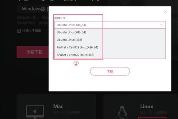 花生壳个人网站建立教程-百挑一