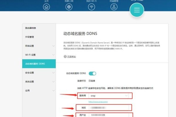 花生壳永久域名，解析与应用-百挑一