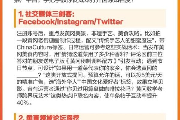 海外黄冈软件推广策略-百挑一