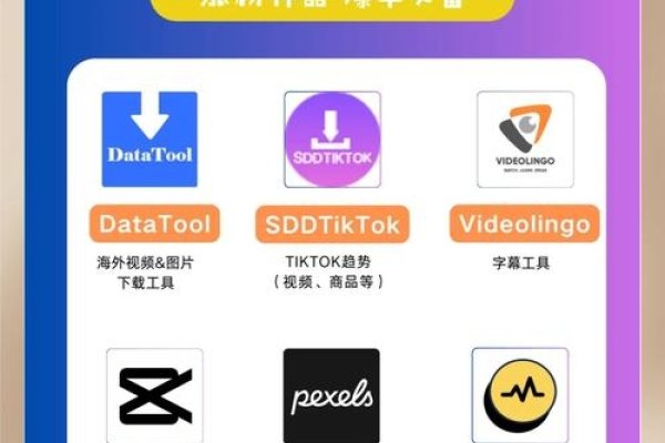 海外运营工具Bad6,功能、优势与挑战-百挑一