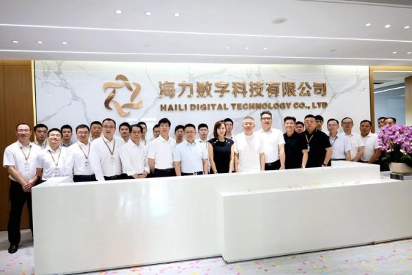 海南海呈网络科技有限公司，探索数字未来的先驱-百挑一