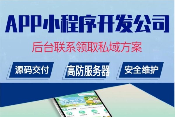 海南APP开发制作，引领数字化新时代的创新之路-百挑一