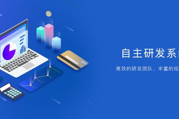 湖南岚鸿—专业网站建设服务公司的典范-百挑一