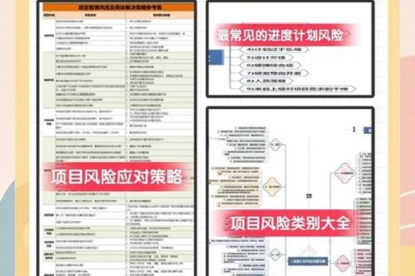 汉中项目管理与风险防范指南-百挑一