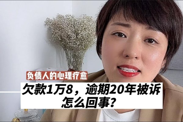 景安网络欠款揭秘，杨小龙欠款的详细情况-百挑一