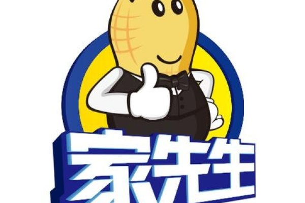 家电服务热线与家先生互联网公司-百挑一