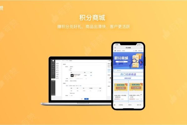 积分系统小程序，打造用户参与度的利器-百挑一
