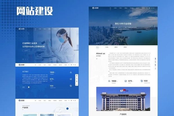 集团官网设计与传播策略，专业网站设计公司的综合解决方案-百挑一