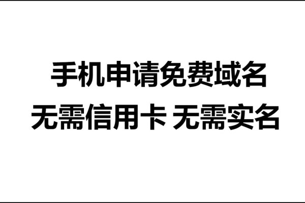 解析A记录免费域名申请,步骤与注意事项-百挑一