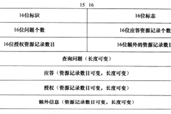 建议，域名解析命令详解与操作指南，轻松掌握DNS查询技巧！-百挑一