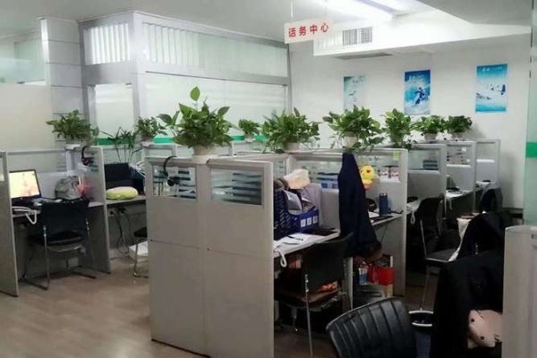 济南正牌网络科技有限公司，科技引领未来-百挑一