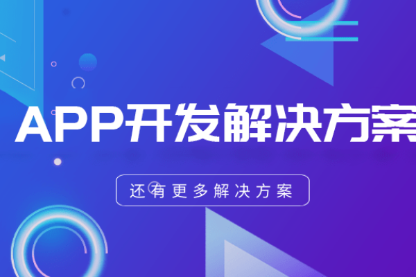 开发App行业的风险分析-百挑一