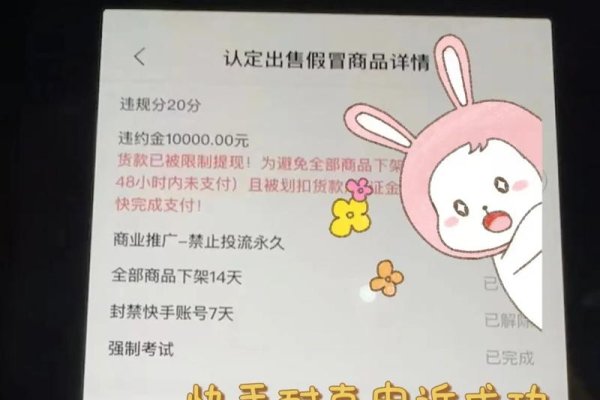 快手备案编号详解，商户合规经营的识别码，保障交易安全与合法性。-百挑一