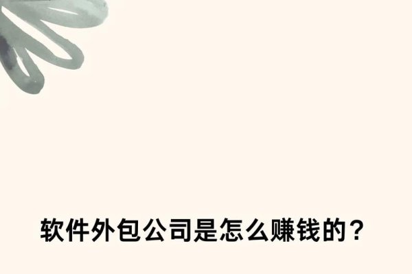 开软件外包公司是否赚钱？-百挑一