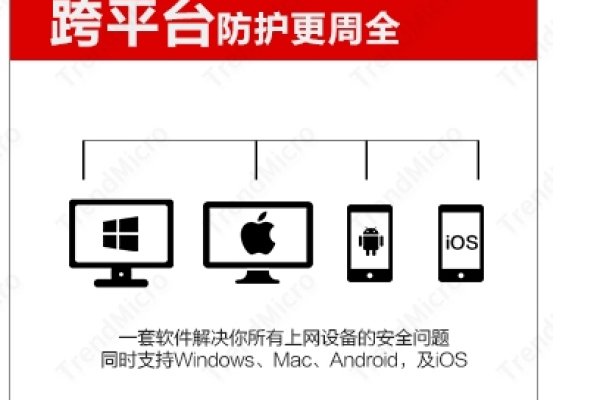流量代理软件，提升网络体验的利器-百挑一