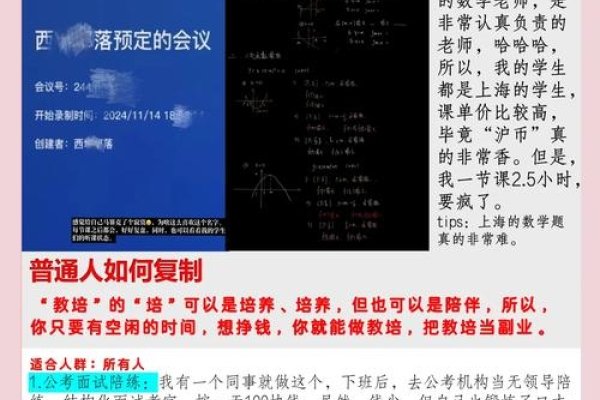 冷门赚钱项目代理，轻松上手月入过万副业指南-百挑一