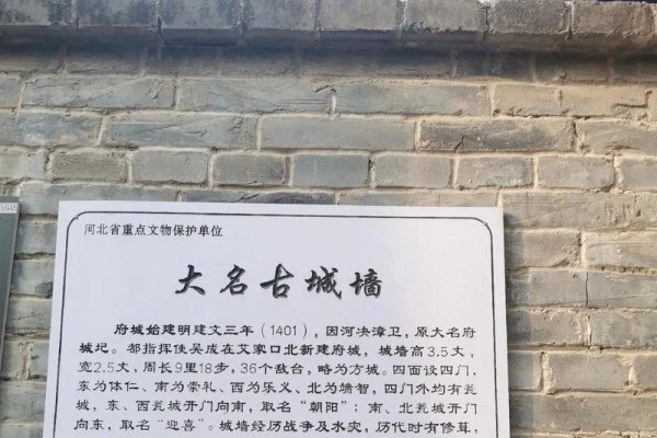 临清建站公司推荐及大名县文化历史简介-百挑一