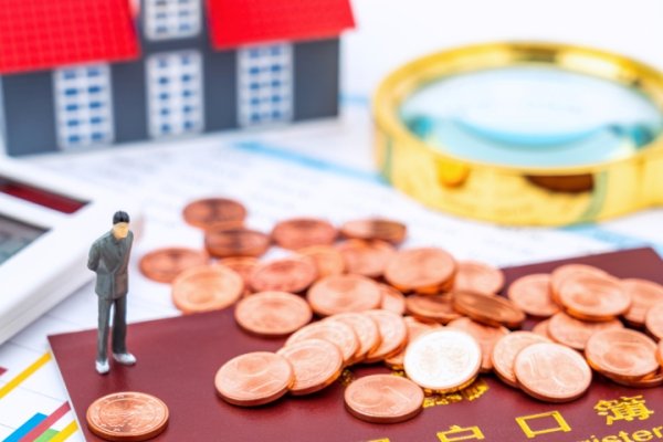 乐山购房补贴查询网站，便捷服务与政策解读-百挑一