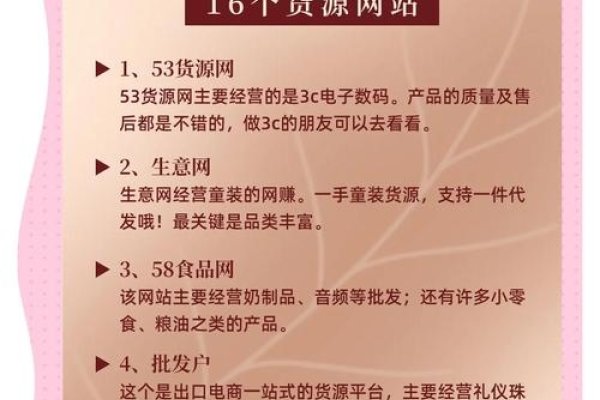 六位数字域名的独特魅力与商业价值-百挑一