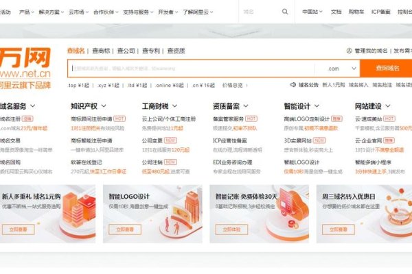 老域名查询与购买指南-百挑一