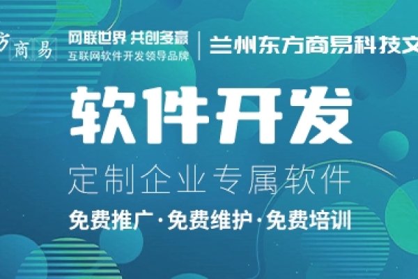 兰州网站建设方法,打造高效、用户友好的在线平台-百挑一