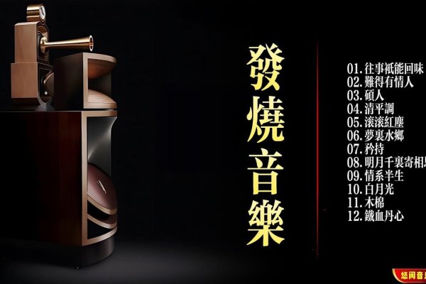 林俊杰无损下载，音乐的无限魅力与便捷获取方式-百挑一