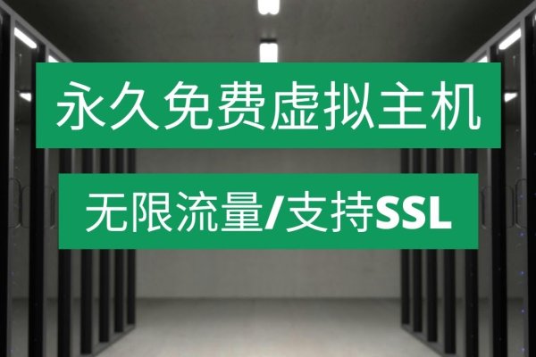 美国虚拟主机试用，探索云端的无限可能-百挑一