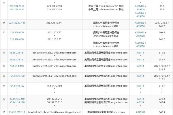 美国与香港主机选择指南，考虑全球访问速度、价格及业务需求决策。-百挑一