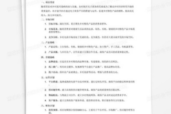 农村电商创业计划书范文-百挑一