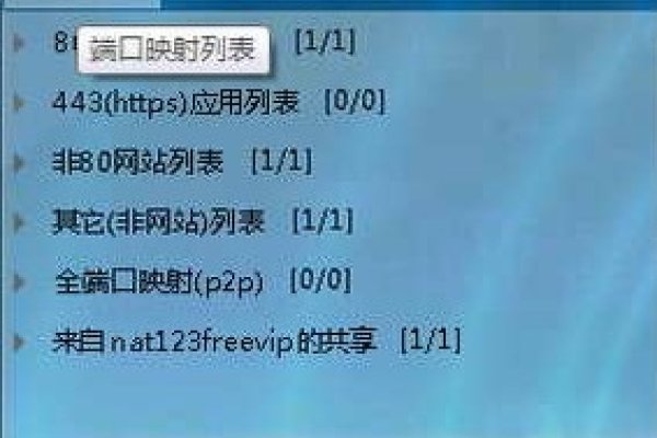 内网服务器端口映射到外网解决方案-百挑一