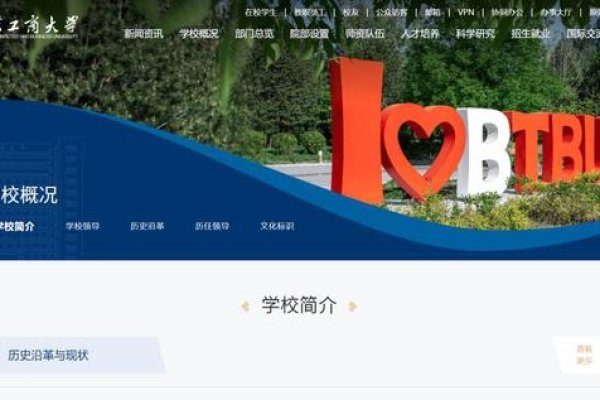 宁津网站设计公司，创新与专业的融合-百挑一