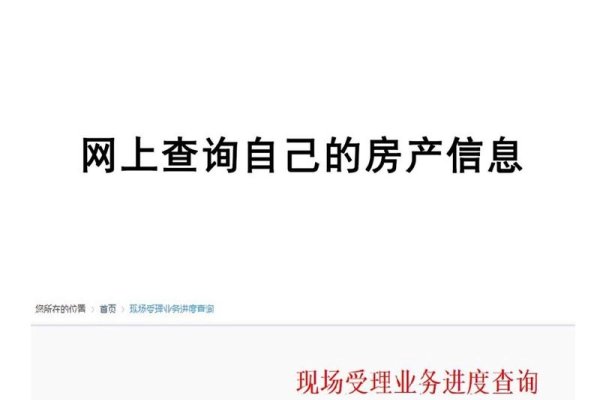 平果市房管局网站查询房产服务-百挑一