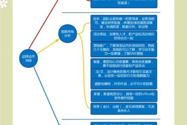 品牌运营全攻略，策略与实践-百挑一
