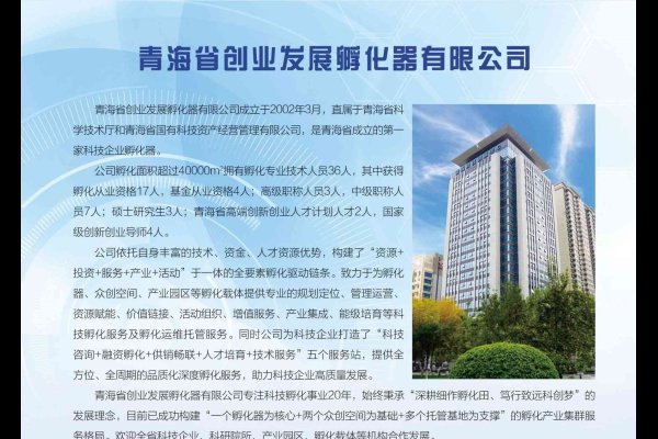 青海网站建设与服务指南-百挑一