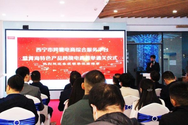 青海西宁网站搭建，打造高效、便捷的在线服务平台-百挑一