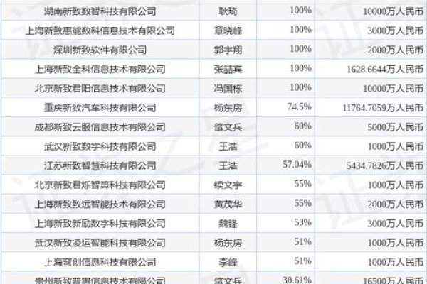 青海软件开发公司名单-百挑一