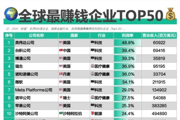 全球数据中心企业排名前十概览-百挑一