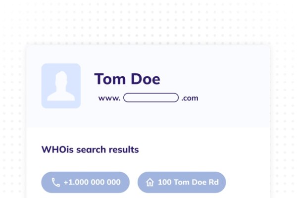 全球网络身份之谜，如何使用Whois全球查询-百挑一