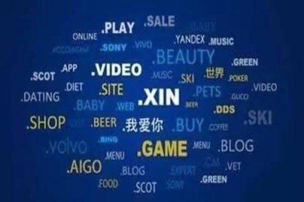 全球最佳域名，探索、选择与价值-百挑一